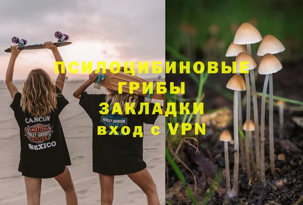 прущая мука Армянск