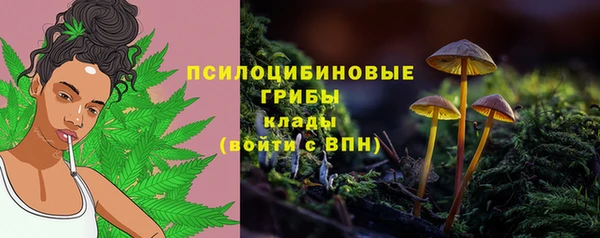 а пвп мука Арсеньев
